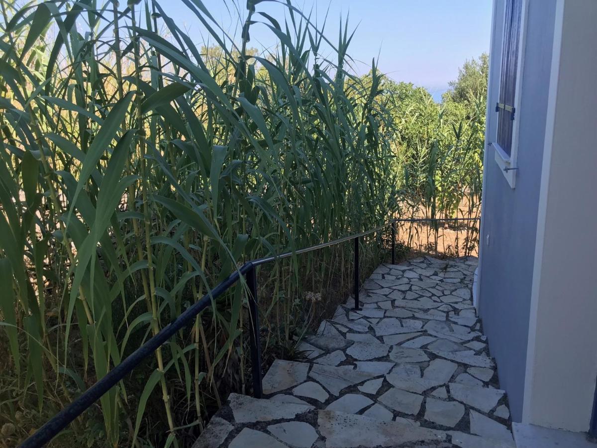 Artemis Villa Fiskardo Zewnętrze zdjęcie